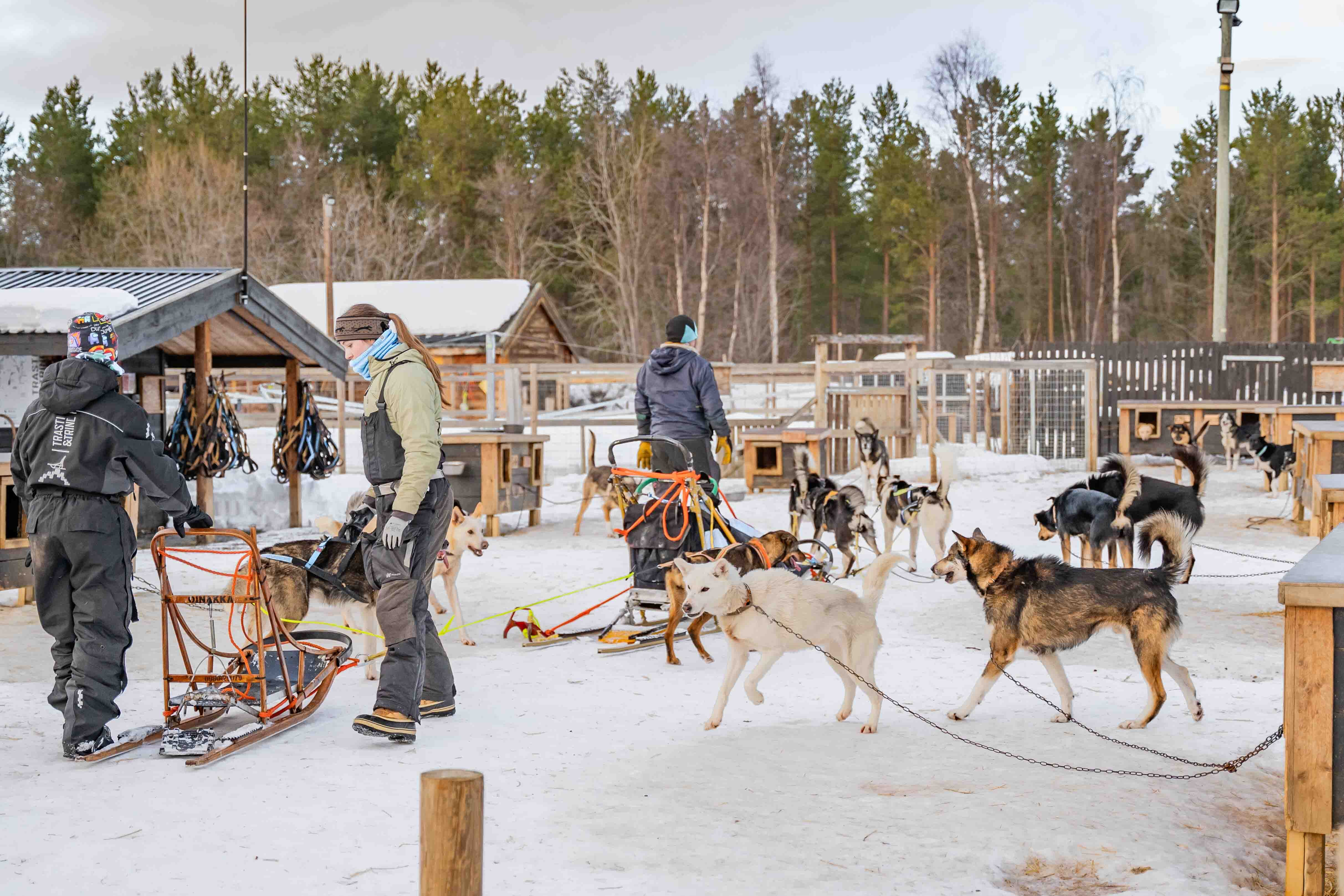 Trasti og Trine 1.jpg