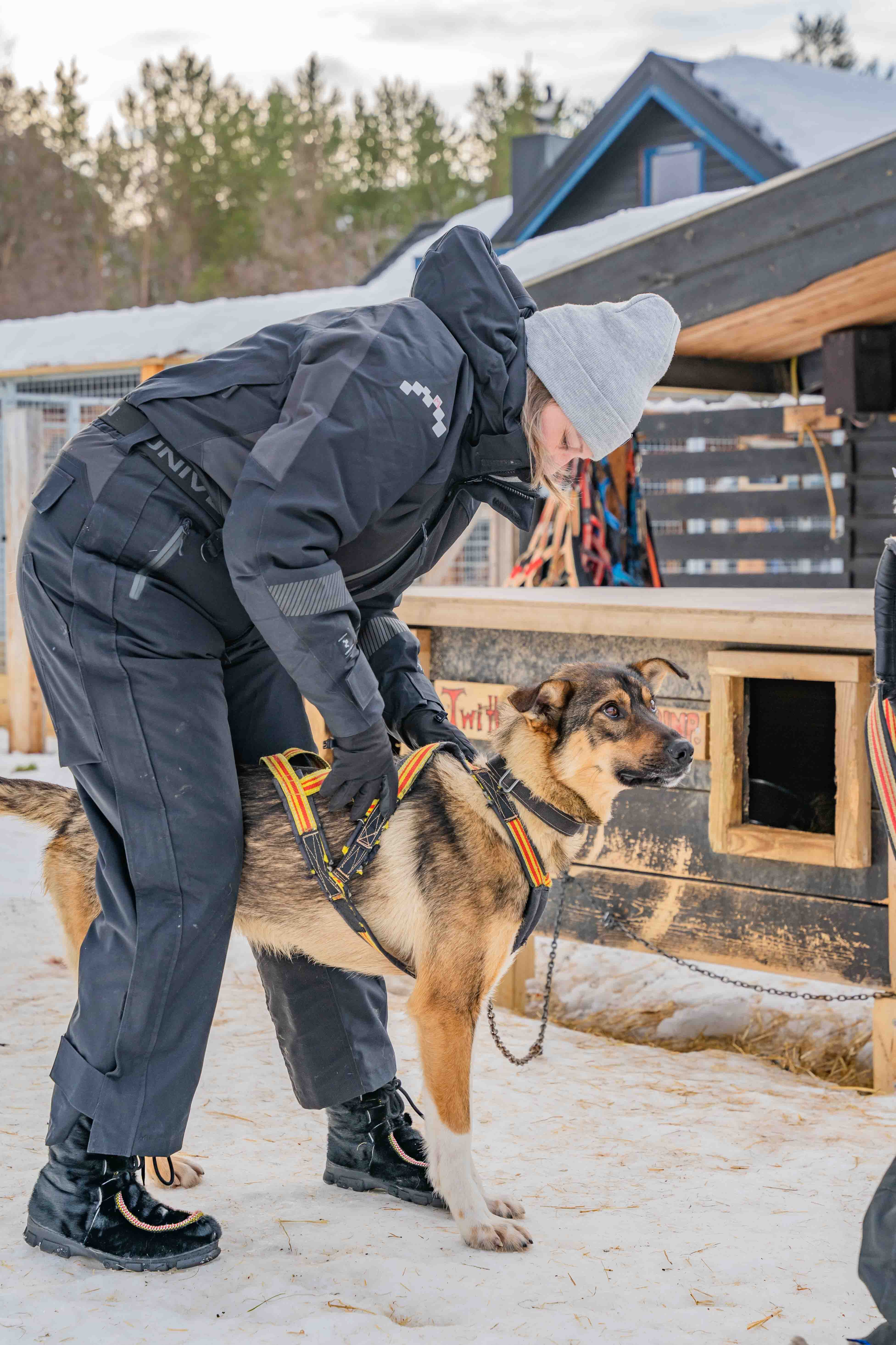 Trasti og Trine 5.jpg