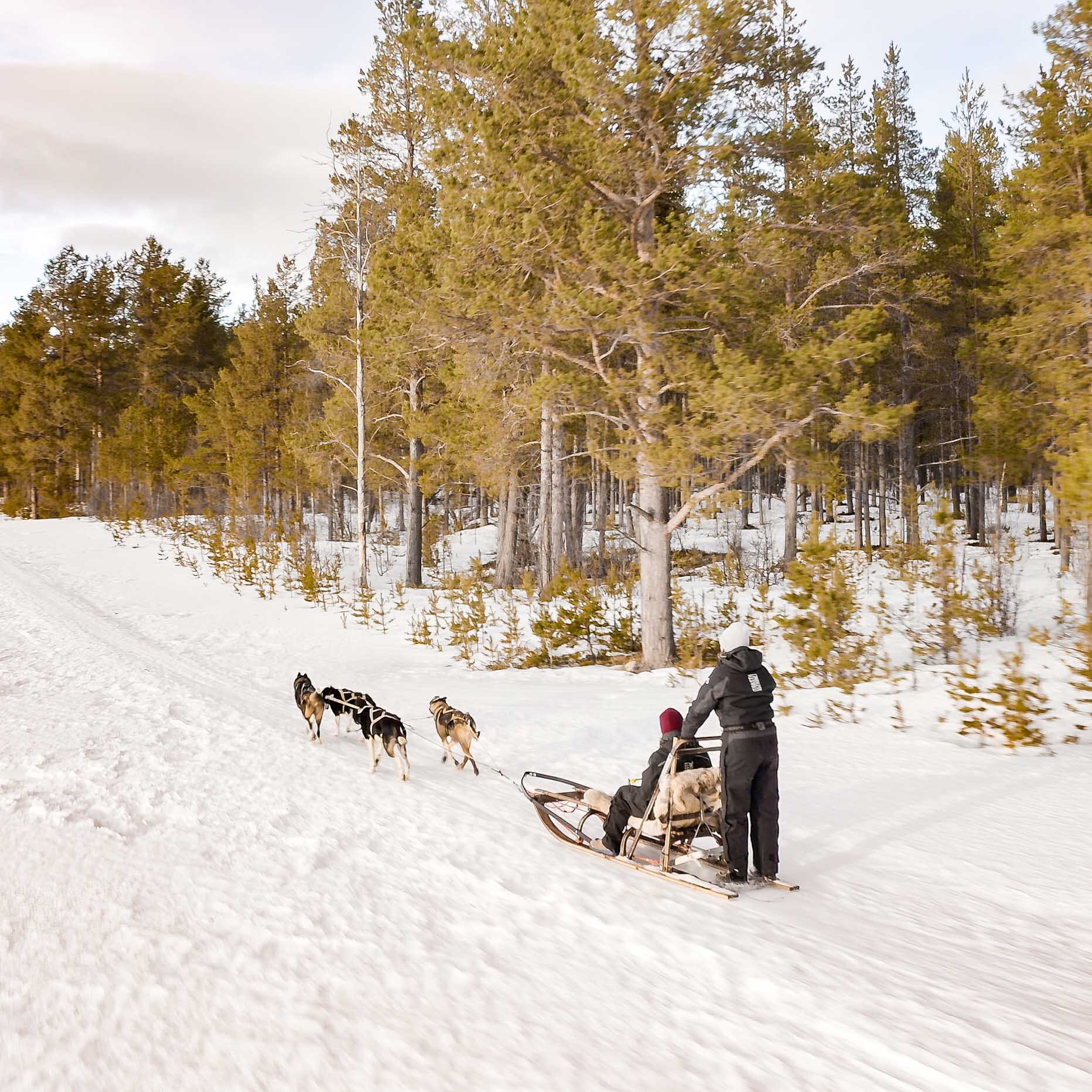 Trasti og Trine 9.jpg